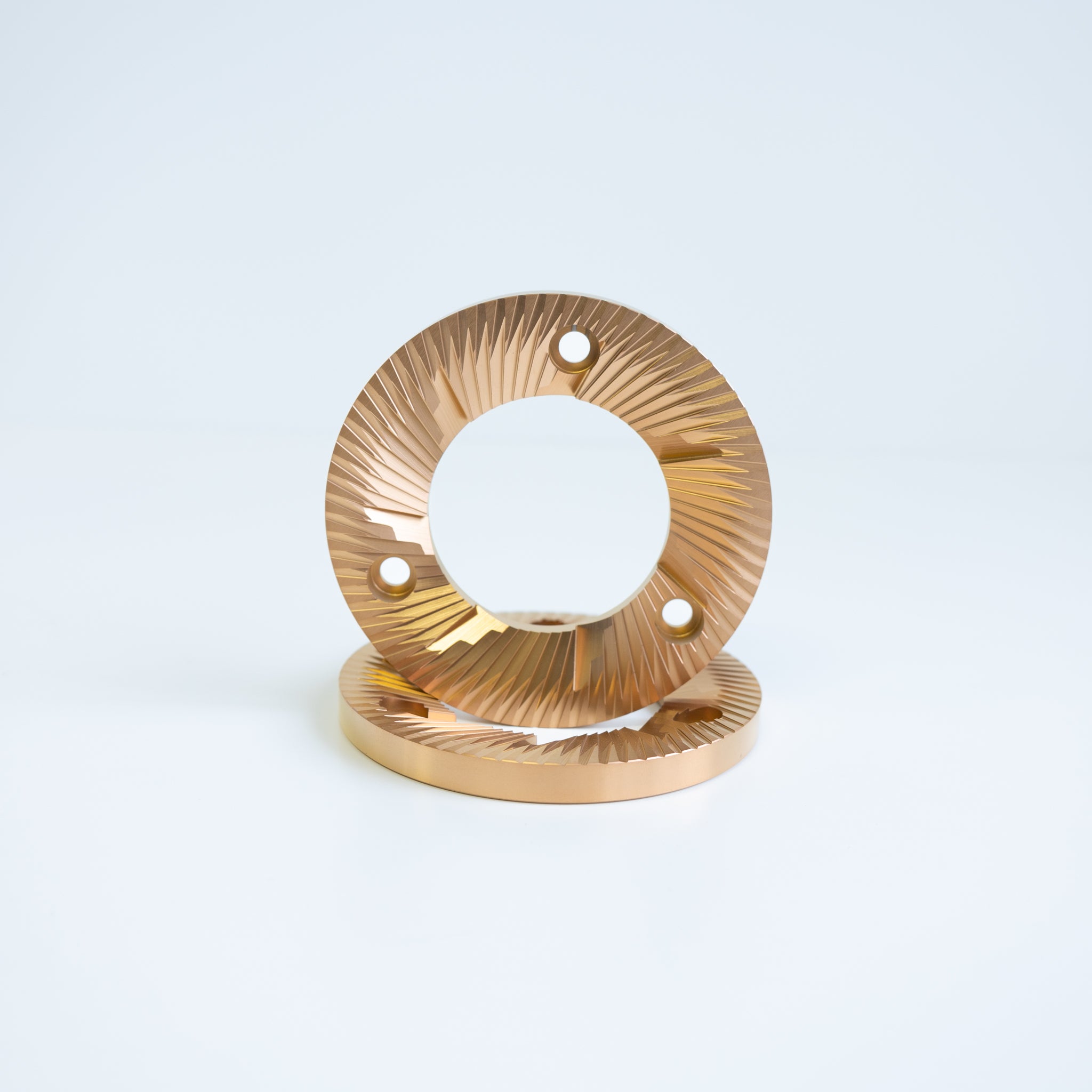 Burriss Boostiest II × 2.5 超希少個体 Burriss Boostiest II × 2.5 超希少個体