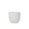 SALT MUG 80ml